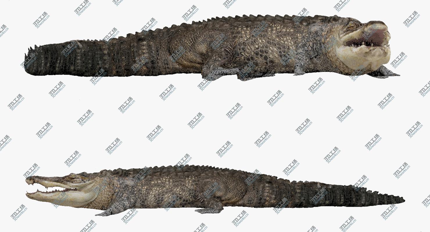 images/goods_img/20210319/3D Crocodile Rigged model/2.jpg